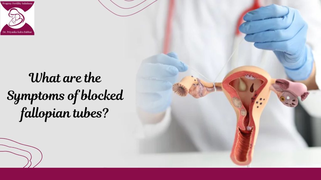 What are the Symptoms of blocked fallopian tubes? @ Dr.Priyanka